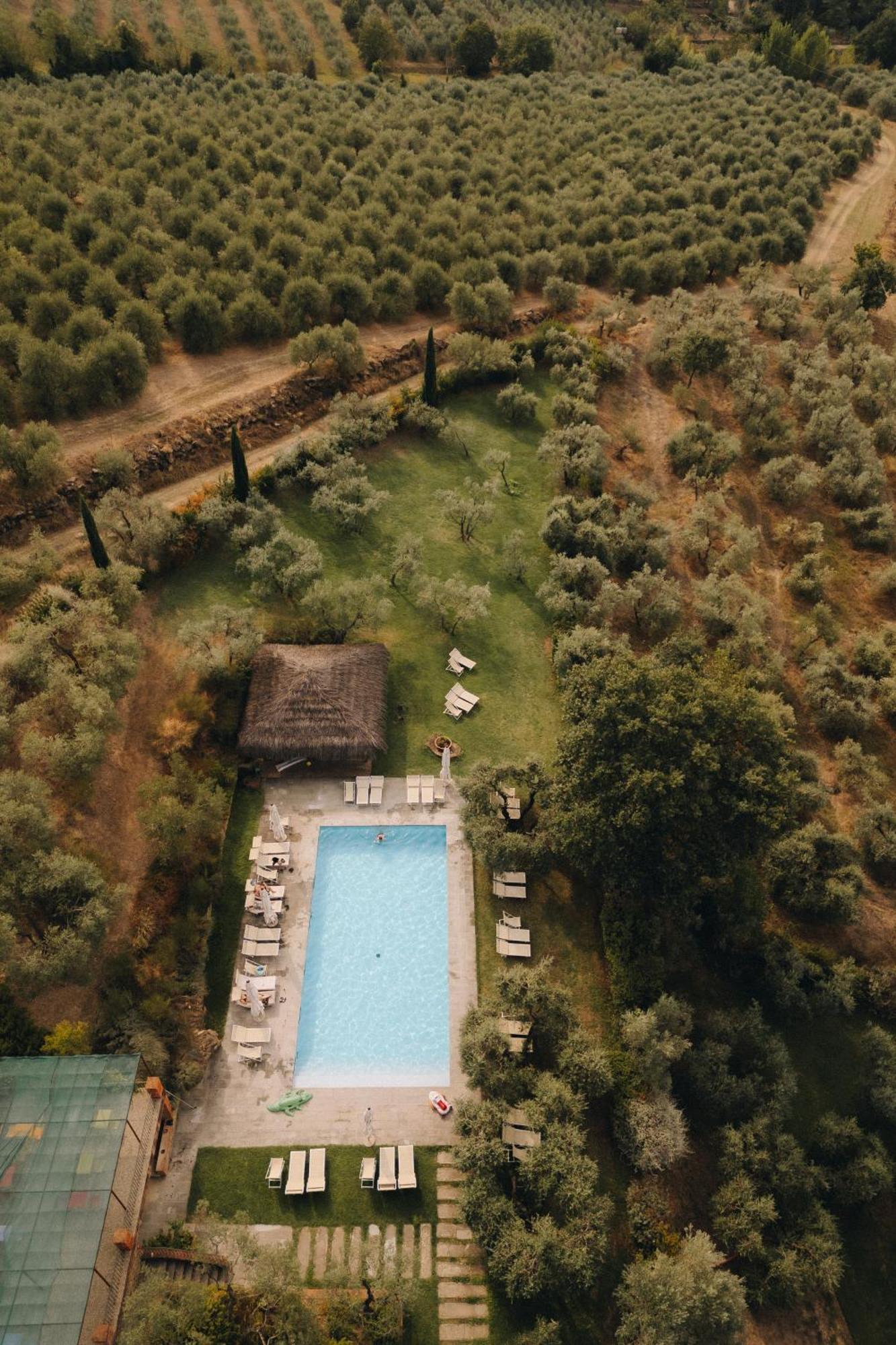 Il Palazzo - Agriturismo, Winery Arezzo Exterior foto